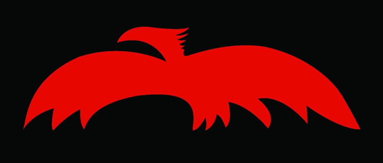 A red bird with black background

Description automatically generated